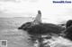 A woman sitting on a rock by the ocean.